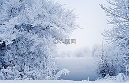雪,冬天,景觀