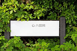 路牌,跡象,空白
