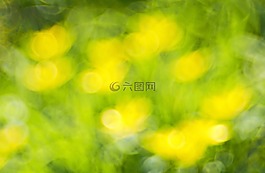 廠,性質(zhì),活
