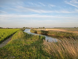 新西蘭,walcheren,水