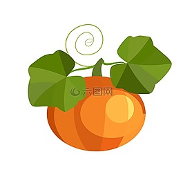 南瓜,葉子,秋季