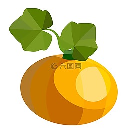 南瓜,葉子,秋季