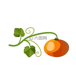 南瓜,葉子,秋季
