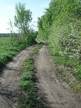 路,污垢,backroad