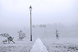 冬天,枝杈,雪