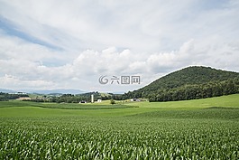 綠色,土地,天空