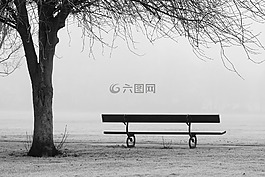 秋,長凳,秋天