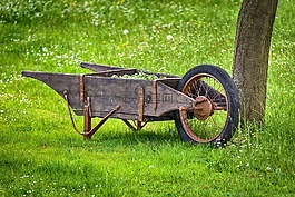 購物車,花園,工具