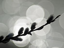 廠,性質(zhì),活