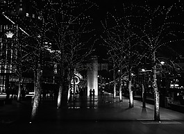 夜,走,城市