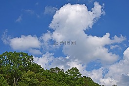 積云過的樹木,田納西,美國