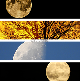 月亮,夜,天空