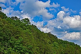 積云過的樹木,田納西,美國