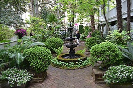 薩凡納,格魯吉亞,花園