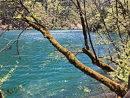 九寨溝,子海水,夏季