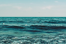 海洋,海,波
