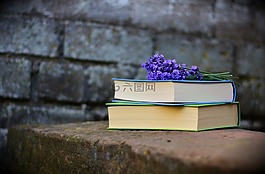 圖書(shū),讀取,文學(xué)