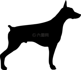 杜賓,狗,小狗