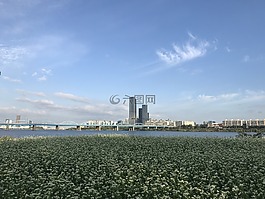 韓國,漢城,漢河