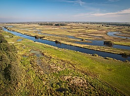 biebrza,narew,池