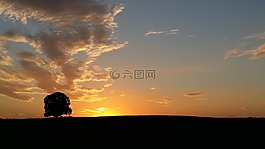 日落,樹,abendstimmung