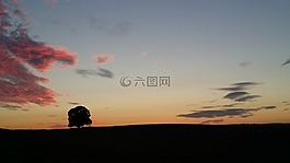 日落,樹,abendstimmung
