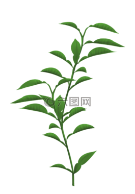 植物,葉,梗