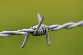 鐵絲網(wǎng),指出,線