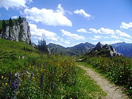 奥地利,景观,山