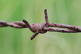 鐵絲網(wǎng),線,籬笆