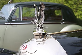 汽車,本特利,車輛