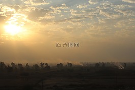 日落,太陽,樹