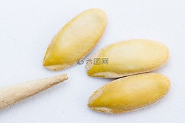 種子,瓜,選擇