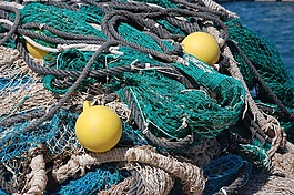 釣魚(yú),蚊帳,海