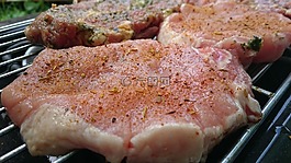 烤架,烤肉,燒烤