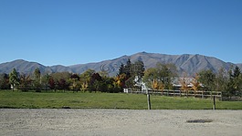 新西兰,牧场,山