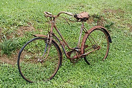 自行車,葡萄收獲期,老
