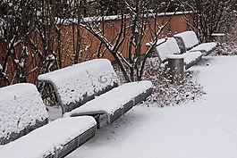 新西蘭,雪,公園長椅