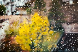 秋季,窗口,雨滴