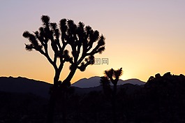 日落,景觀,山