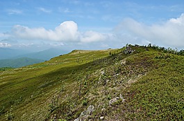 山,景觀,bieszczady