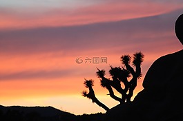 日落,景觀,山
