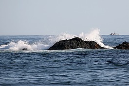 太平洋,海,巖