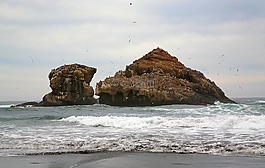 太平洋,海,巖