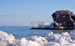 太平洋,海,巖