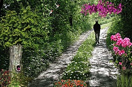 路徑,路,佛羅里達(dá)