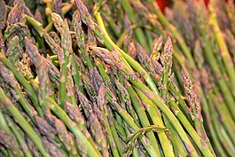 蘆筍,蔬菜,綠色