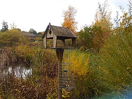 英格蘭,英國,景觀