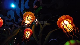 香港,迪斯尼,海蜇