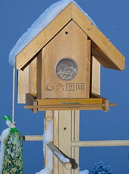 鳥食屋,鳥種子,鳥食